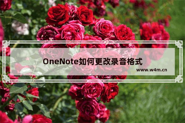 OneNote如何更改录音格式