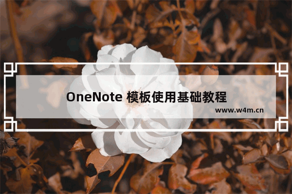 OneNote 模板使用基础教程