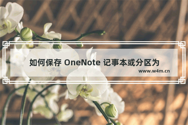 如何保存 OneNote 记事本或分区为 chm 文件