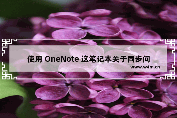 使用 OneNote 这笔记本关于同步问题进行说明