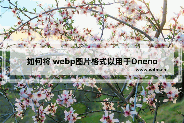 如何将 webp图片格式以用于Onenote/印象笔记的剪藏