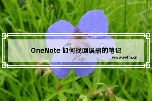 OneNote 如何找回误删的笔记