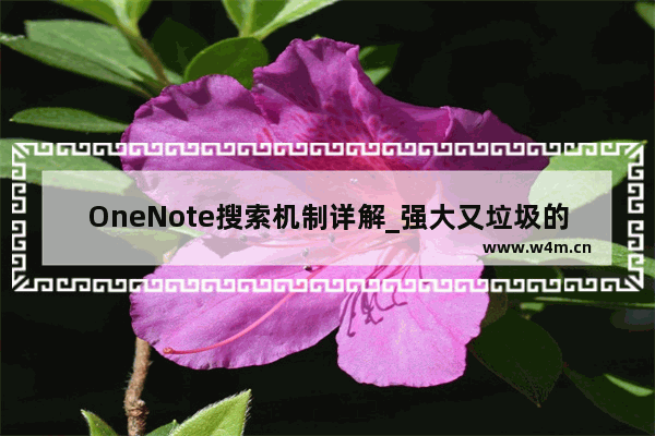 OneNote搜索机制详解_强大又垃圾的搜索功能概览