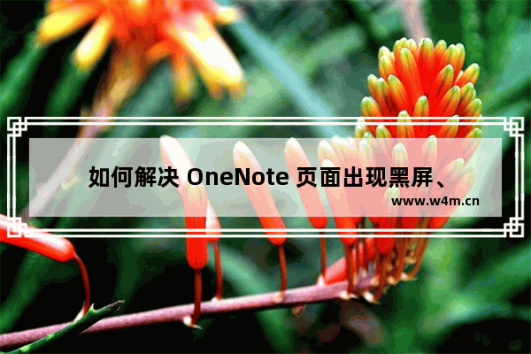 如何解决 OneNote 页面出现黑屏、花屏、闪烁问题？