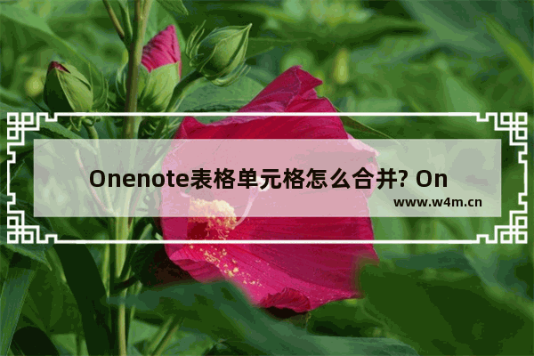 Onenote表格单元格怎么合并? Onenote合并单元格技巧