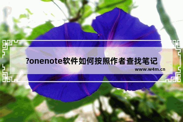 ?onenote软件如何按照作者查找笔记