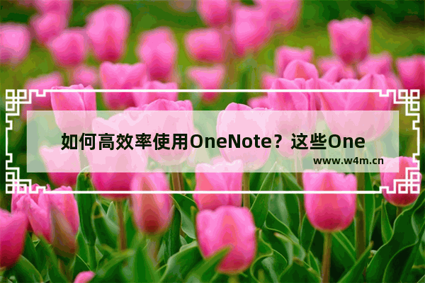 如何高效率使用OneNote？这些OneNote技巧不能忘！