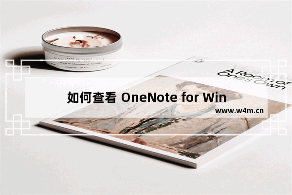 如何查看 OneNote for Windows 10 的更新日期？