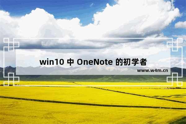 win10 中 OneNote 的初学者教程