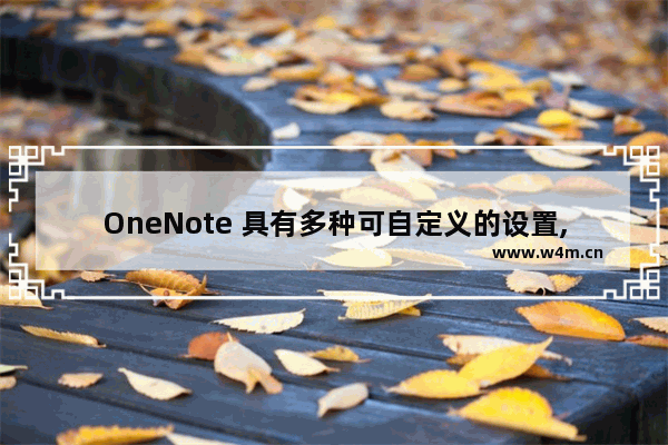 OneNote 具有多种可自定义的设置, 可以最大限度地利用用户界面和体验