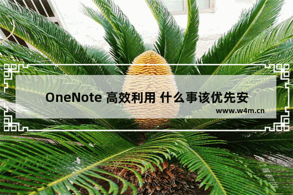 OneNote 高效利用 什么事该优先安排？