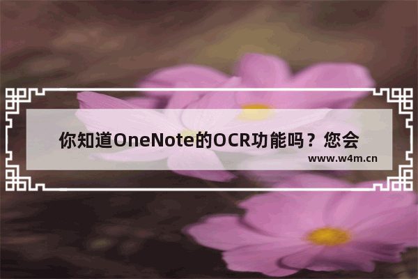 你知道OneNote的OCR功能吗？您会使用吗？