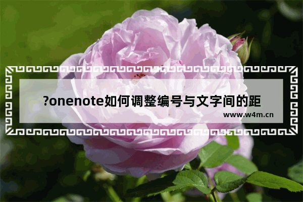 ?onenote如何调整编号与文字间的距离