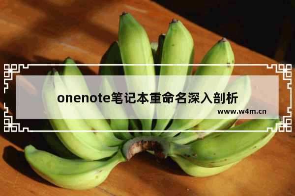 onenote笔记本重命名深入剖析