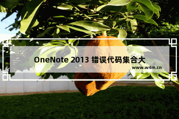 OneNote 2013 错误代码集合大全