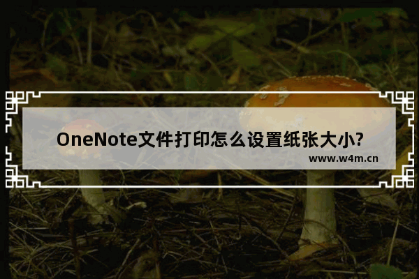 OneNote文件打印怎么设置纸张大小?