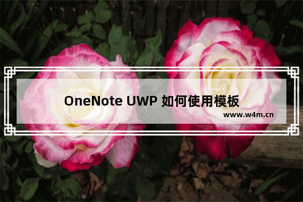 OneNote UWP 如何使用模板