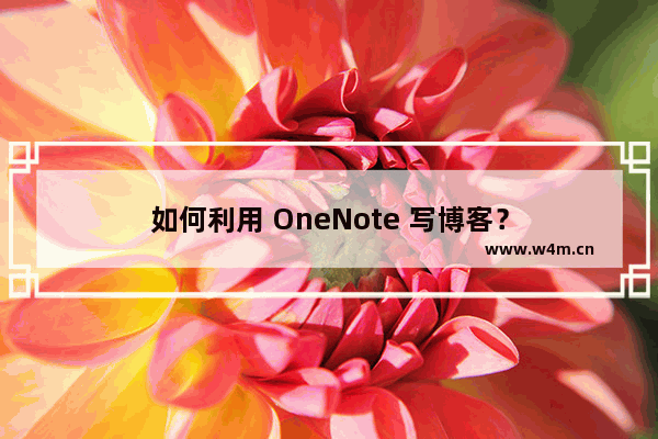 如何利用 OneNote 写博客？