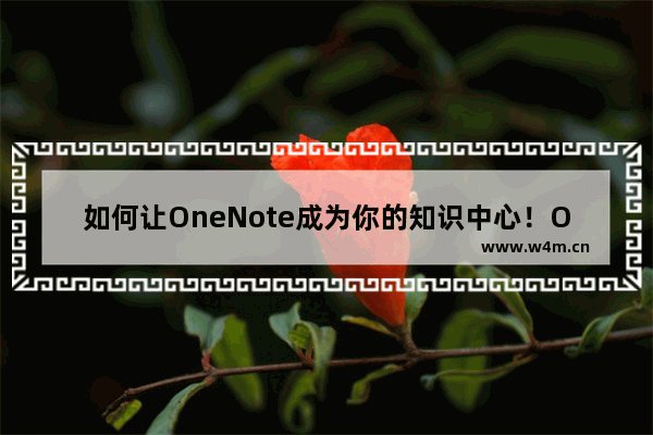 如何让OneNote成为你的知识中心！OneNote平台内容收集