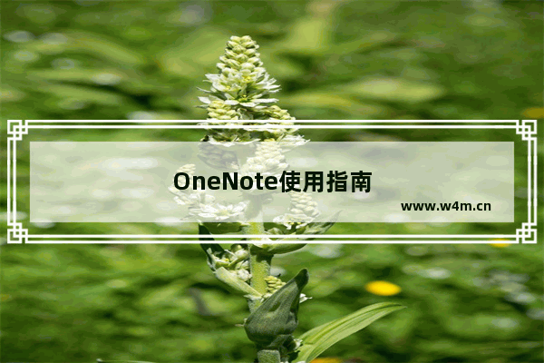 OneNote使用指南