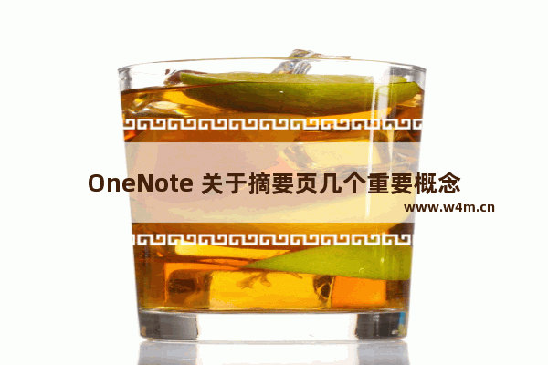 OneNote 关于摘要页几个重要概念