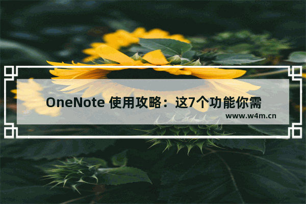 OneNote 使用攻略：这7个功能你需要知道