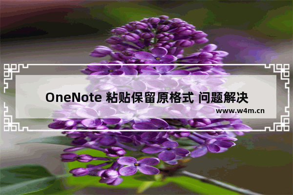 OneNote 粘贴保留原格式 问题解决