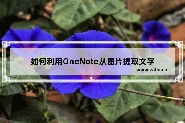 如何利用OneNote从图片提取文字