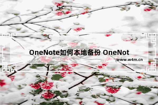 OneNote如何本地备份 OneNote本地备份实现图解教程