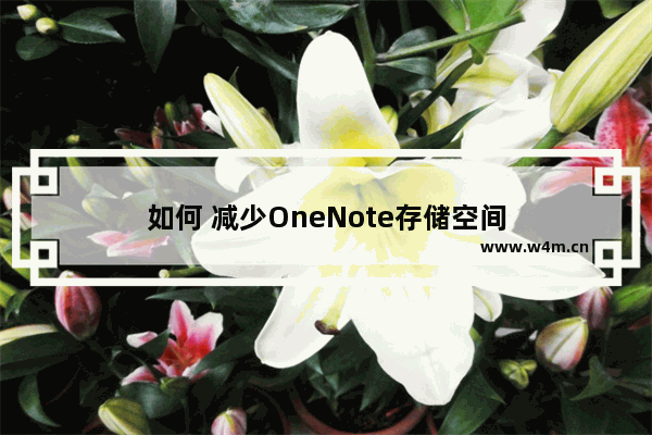 如何 减少OneNote存储空间