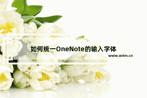 如何统一OneNote的输入字体