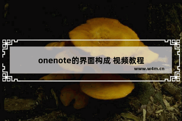 onenote的界面构成 视频教程