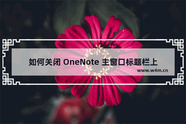 如何关闭 OneNote 主窗口标题栏上的搜索框？