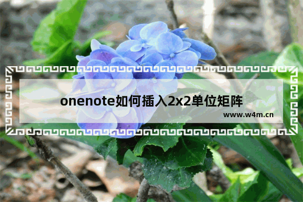 onenote如何插入2x2单位矩阵