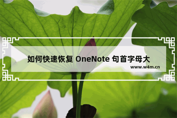 如何快速恢复 OneNote 句首字母大写为小写？