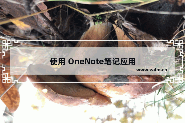 使用 OneNote笔记应用