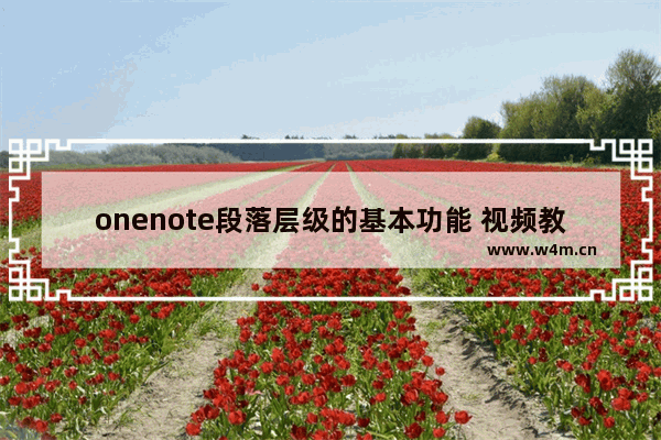 onenote段落层级的基本功能 视频教程