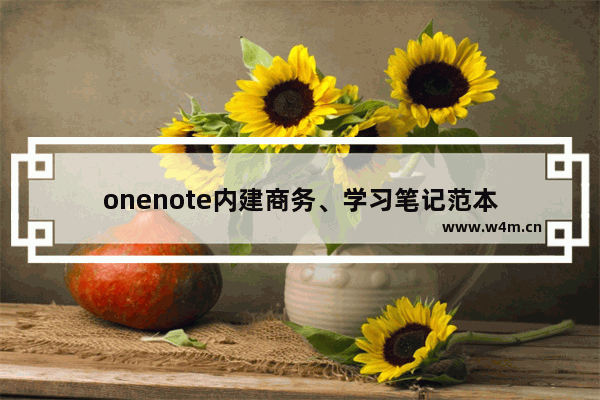 onenote内建商务、学习笔记范本