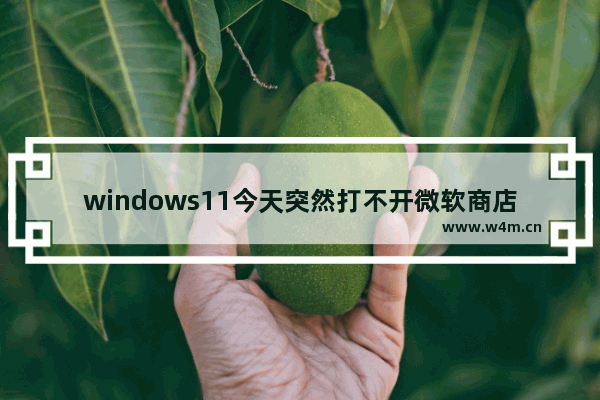 windows11今天突然打不开微软商店，OneNote无法同步？