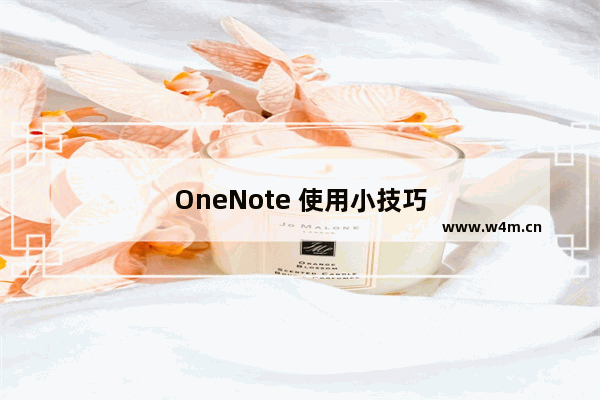 OneNote 使用小技巧