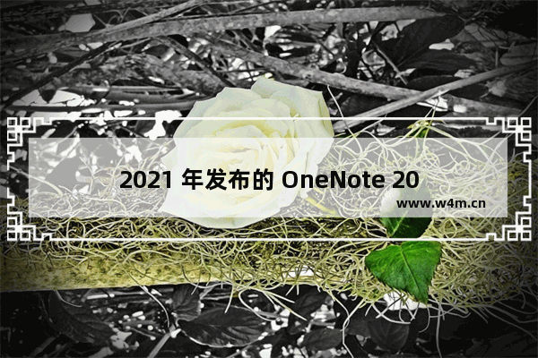 2021 年发布的 OneNote 2021 相对 OneNote 2016 增加删除的新功能对比OneNote 2021 相对于同期 Microsoft 365 里的 OneNote 缺少的功能