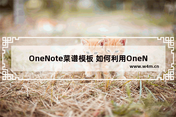 OneNote菜谱模板 如何利用OneNote管理菜谱