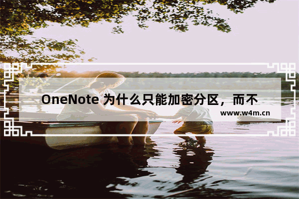 OneNote 为什么只能加密分区，而不能加密笔记本