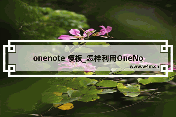 onenote 模板_怎样利用OneNote做时间管理？