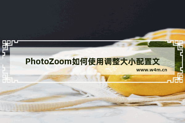 PhotoZoom如何使用调整大小配置文件 教你一招轻松搞定