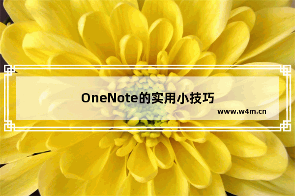 OneNote的实用小技巧