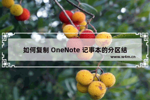 如何复制 OneNote 记事本的分区结构树到另外一个记事本里