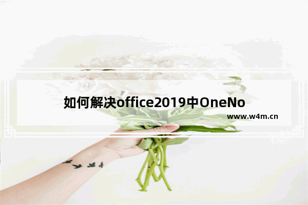 如何解决office2019中OneNote没有出现“粘贴选项”的问题