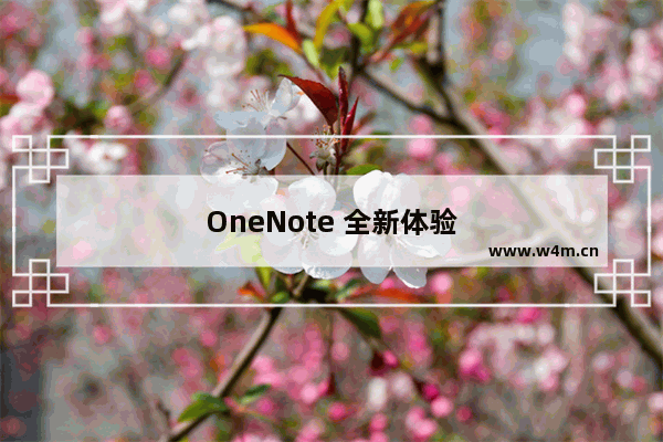 OneNote 全新体验