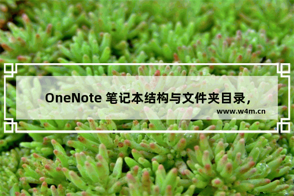 OneNote 笔记本结构与文件夹目录，以及.one文件